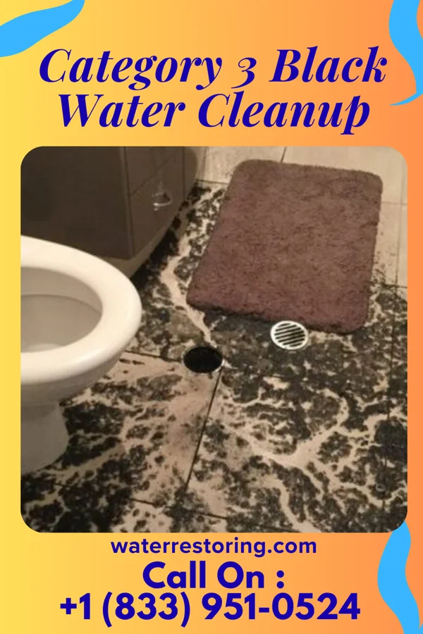 Category 3 Black Water Cleanup in Warrenton, MO