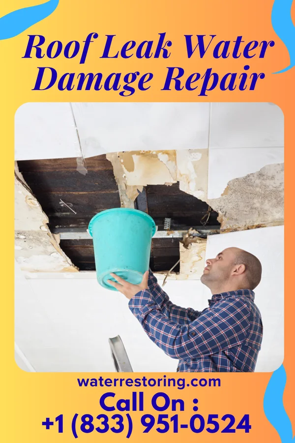 Roof Leak Water Damage Repair in Warrenton, MO