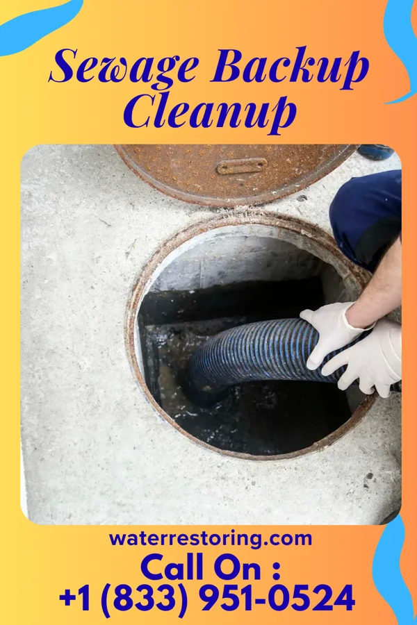 Sewage Backup Cleanup in Warrenton, MO